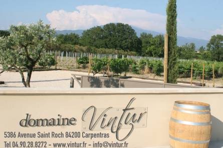 Guided tour of the vineyard and cellar - Domaine Vintur