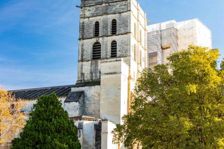 Les édifices religieux d'Avignon : promenade parmi les trésors de l'art sacré avignonnais