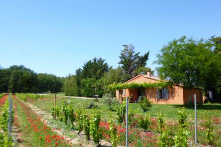 Le Cabanon - Domaine des Finets