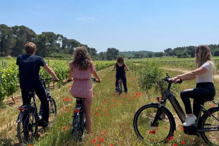 Balades en vélo électrique - Château Gigognan