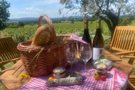 Pique nique entre vignes et oliviers au Château Maucoil