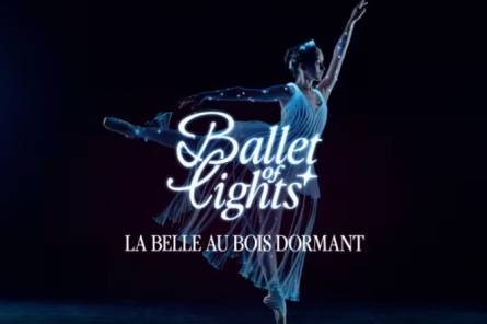Ballet of Lights: Sleeping Beauty