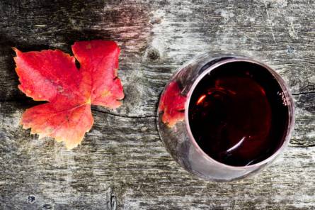 Ecole des Vins Workshop - The Battle of the North-South Crus