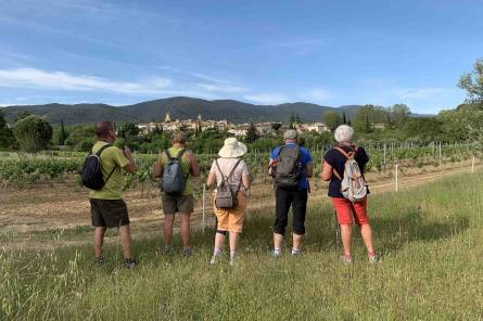Entre bastide et château, balade au pays de l’huile d’olive à La Bastide du Laval à Cadenet