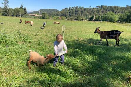 Ferme pédagogique - L'espigaou